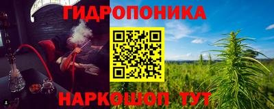 jwh Кандалакша