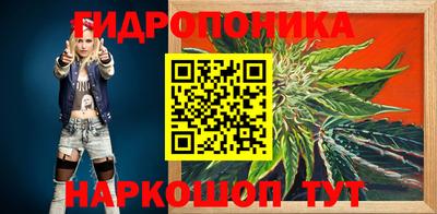 прущие крисы Камышлов
