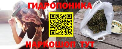 прущие крисы Камышлов