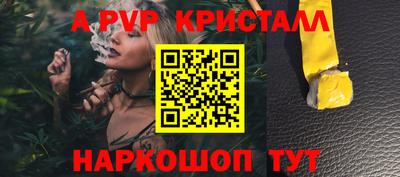 прущие крисы Камышлов