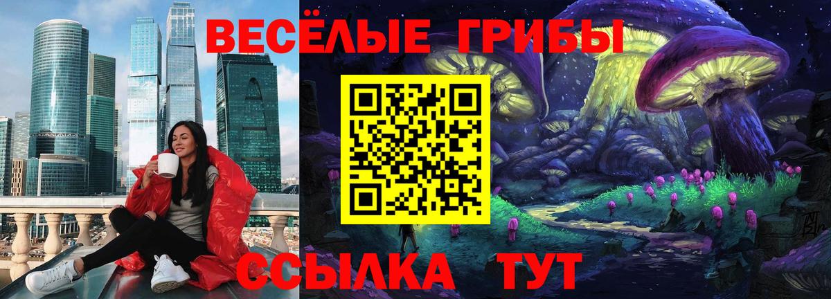 купить   Вход с VPN  Темрюк  Псилоцибиновые грибы Magic Shrooms 