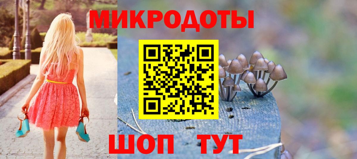 Галлюциногенные грибы Cubensis Темрюк
